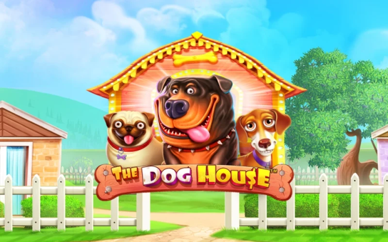 Echa un vistazo al juego Dog House en el casino 1win.
